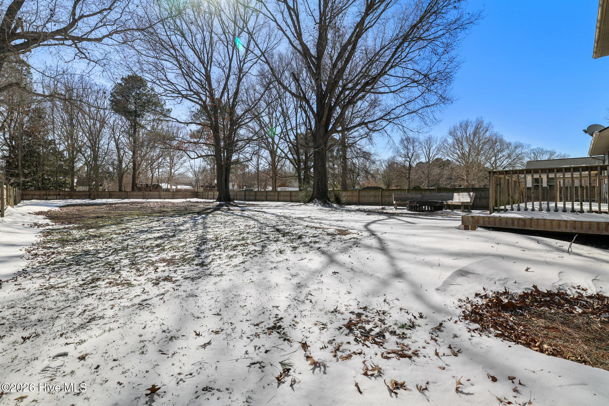 1039 Consolidated Road Elizabeth City, NC 27909 - Photo 42 of 49 Spacious backyard