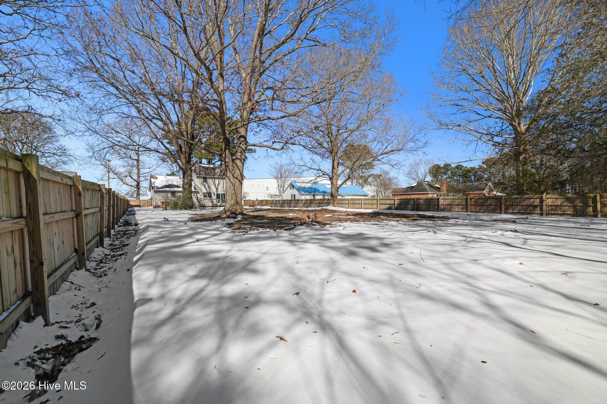 1039 Consolidated Road Elizabeth City, NC 27909 - Photo 44 of 49 Views of backyard