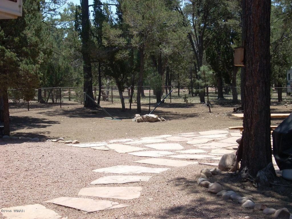 2101 Chevelon Road Overgaard, AZ 85933 - Photo 31 of 45 a view of road with trees