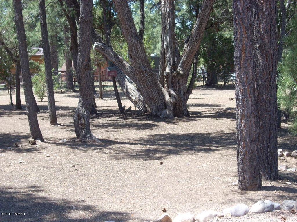 2101 Chevelon Road Overgaard, AZ 85933 - Photo 32 of 45 a view of a yard with trees