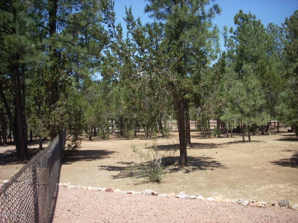 2101 Chevelon Road Overgaard, AZ 85933 - Photo 33 of 45 a view of road with trees