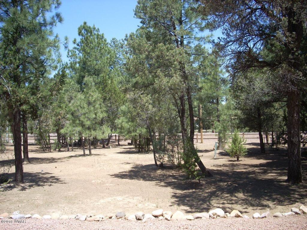 2101 Chevelon Road Overgaard, AZ 85933 - Photo 34 of 45 a view of road with trees