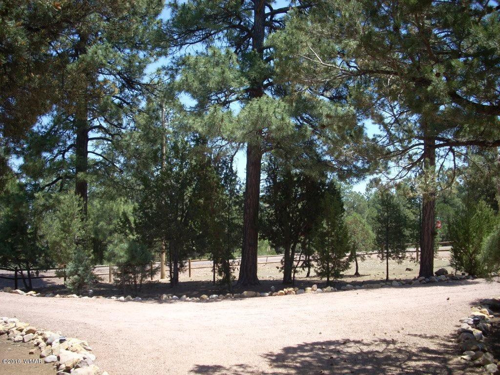2101 Chevelon Road Overgaard, AZ 85933 - Photo 35 of 45 a view of a snow with trees in the background