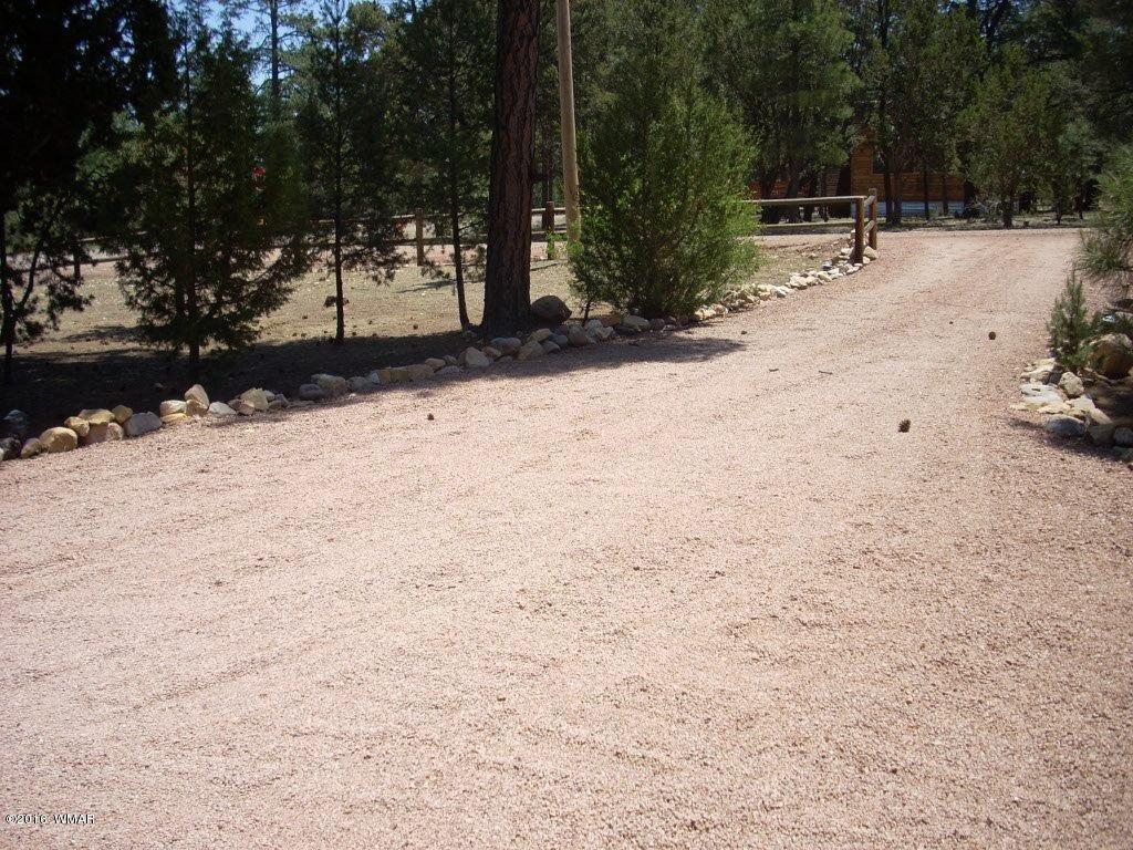 2101 Chevelon Road Overgaard, AZ 85933 - Photo 38 of 45 a view of outdoor space with yard