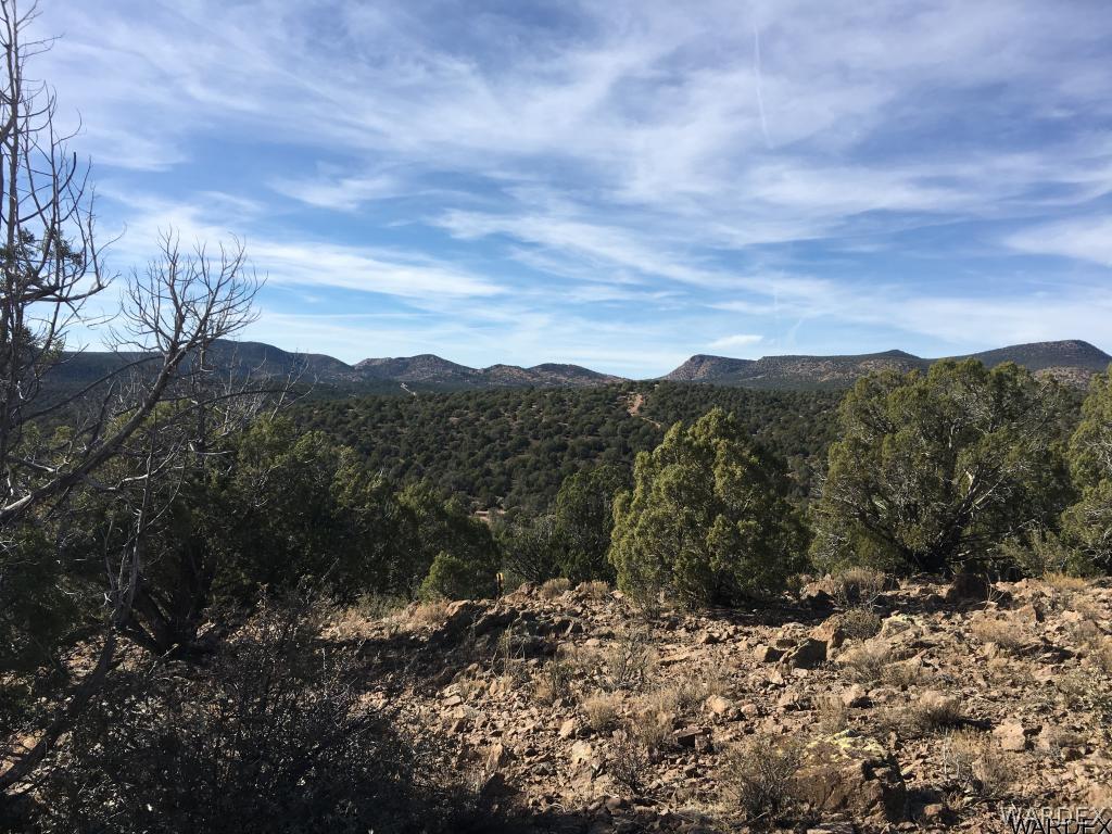 Lot 196 North Willows Ranch Road Kingman, AZ 86401 - Photo 5 of 9 a view of a forest with mountains in the background