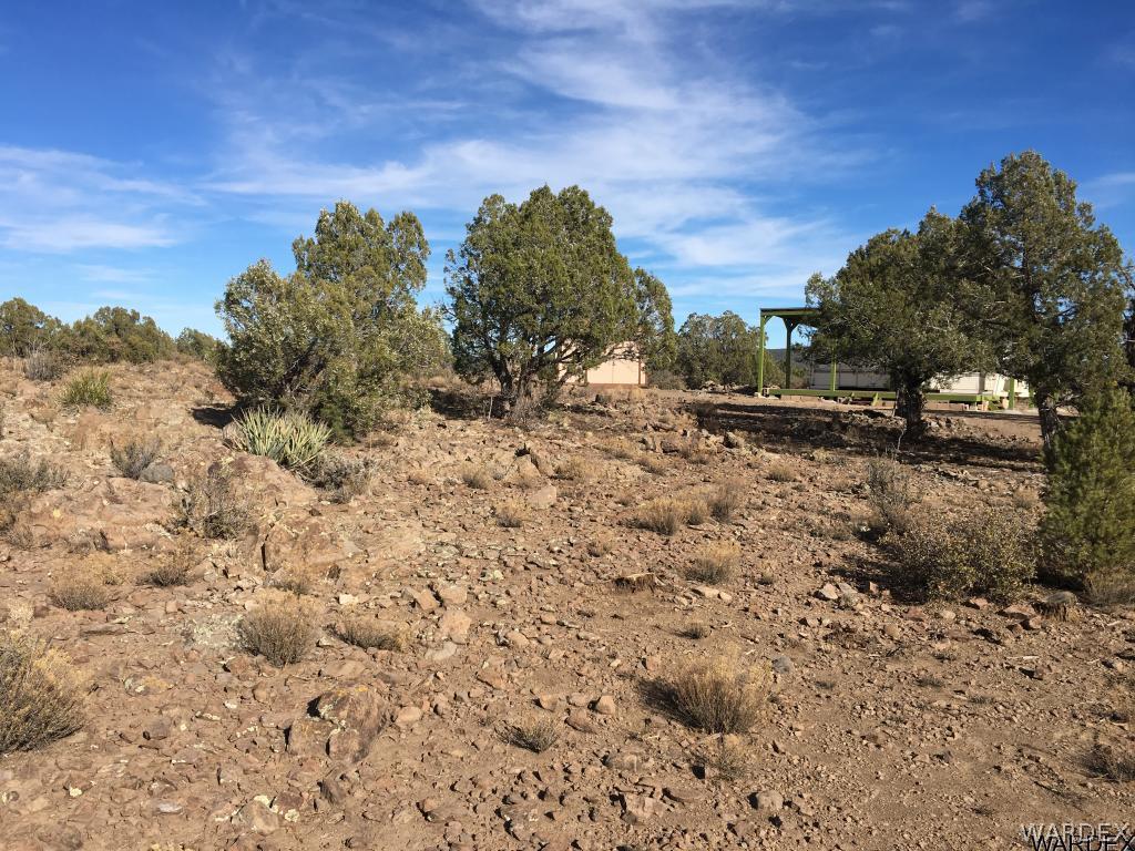 Lot 196 North Willows Ranch Road Kingman, AZ 86401 - Photo 6 of 9 a view of a dry yard with trees