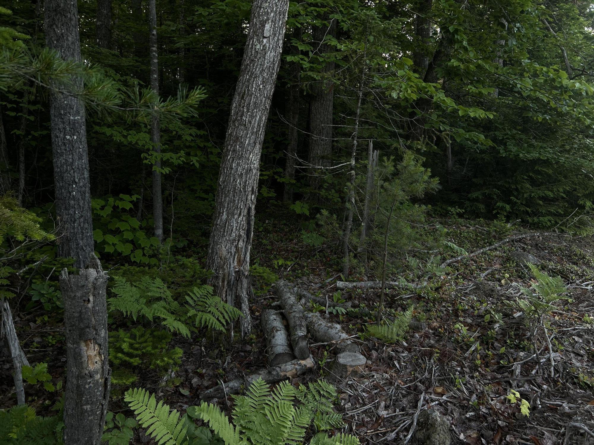 24a Anson Valley Road New Vineyard, ME 04956 - Photo 22 of 93 IMG_4931