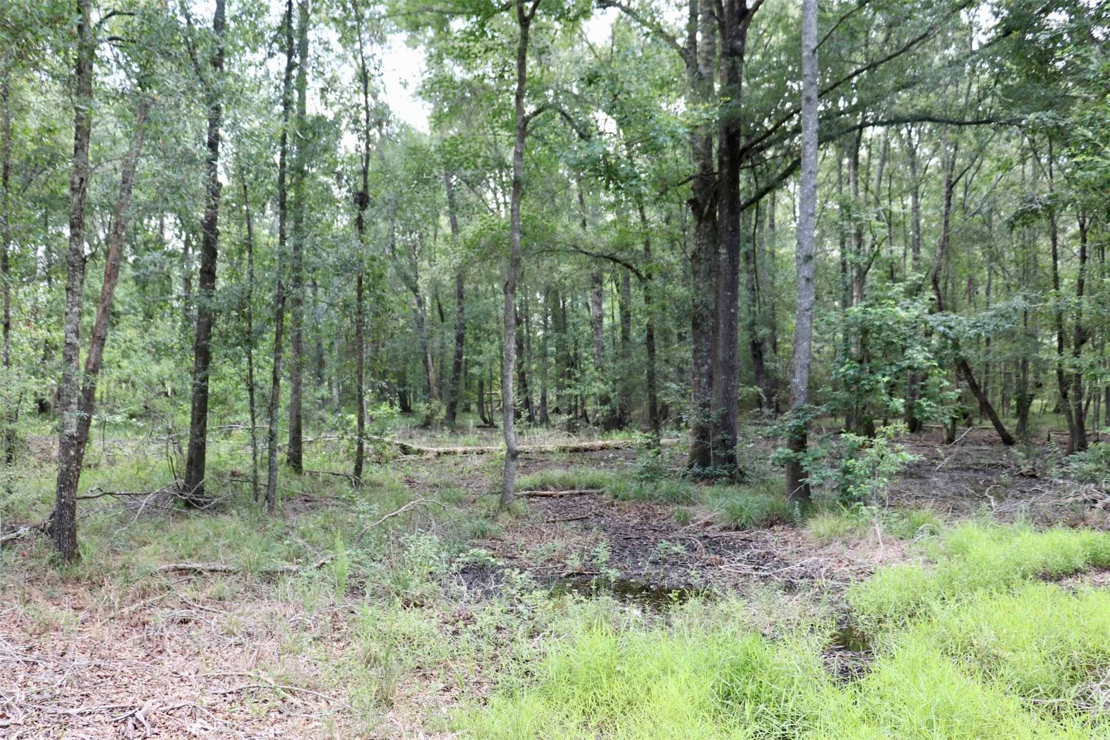 1250 Meekins Road Cleveland, TX 77328 - Photo 38 of 44
