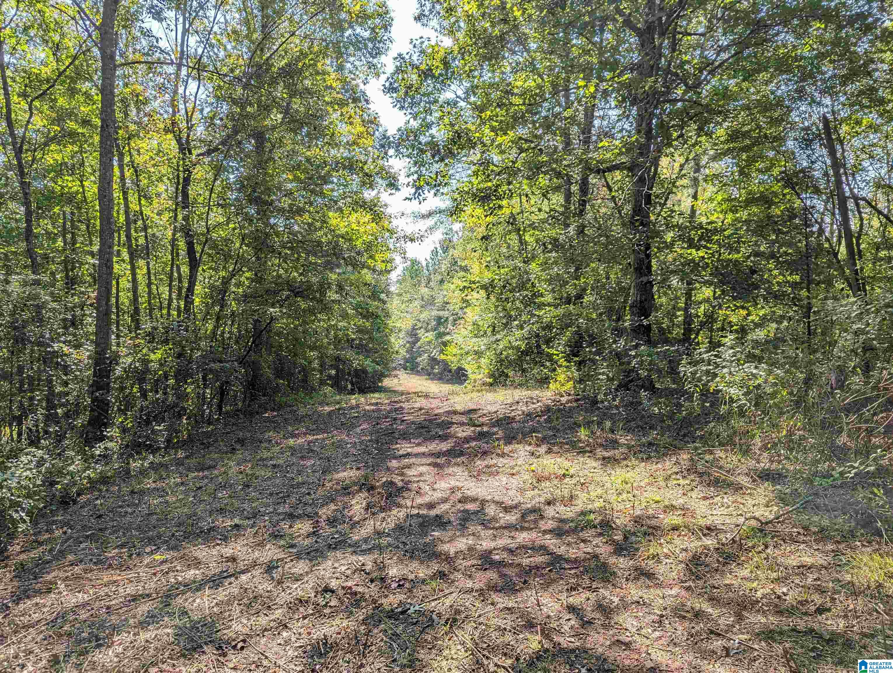 534 County Road, Unit 35 Woodland, AL 36280 - Photo 5 of 22