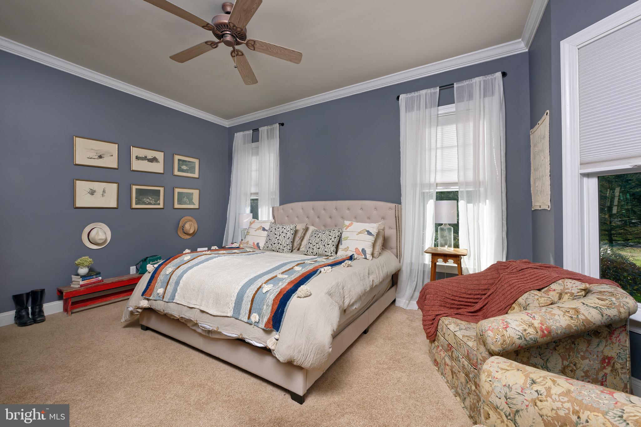23154 Dover Road Middleburg, VA 20117 - Photo 17 of 66 Main floor spacious primary bedroom