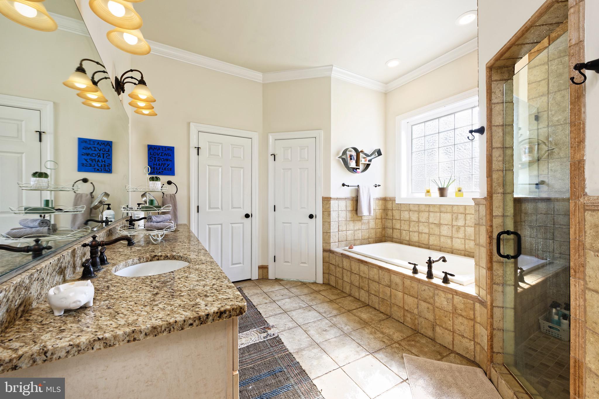 23154 Dover Road Middleburg, VA 20117 - Photo 18 of 66 Luxury primary bath with soaking tub