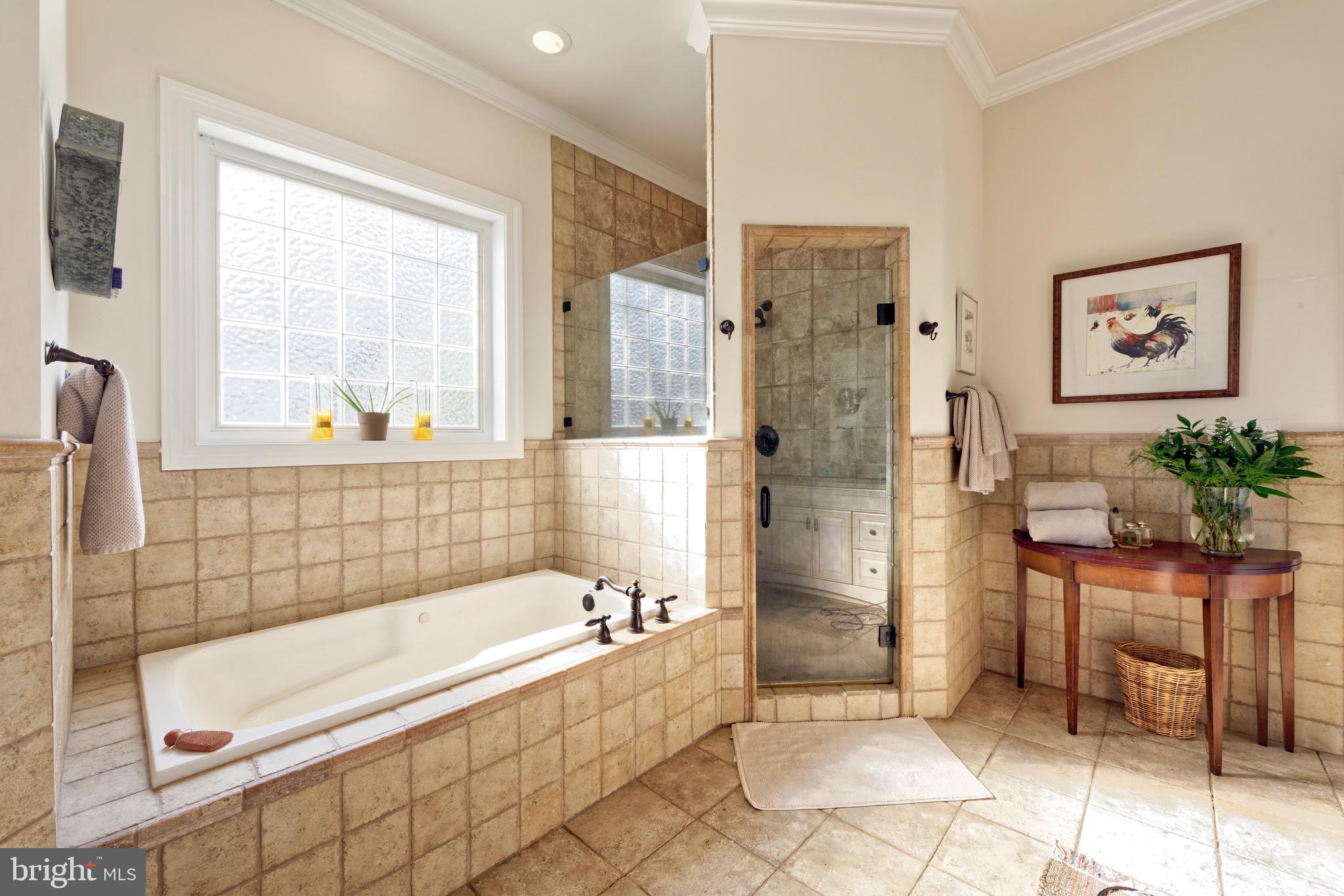 23154 Dover Road Middleburg, VA 20117 - Photo 19 of 66 Primary bath has separate tub and shower