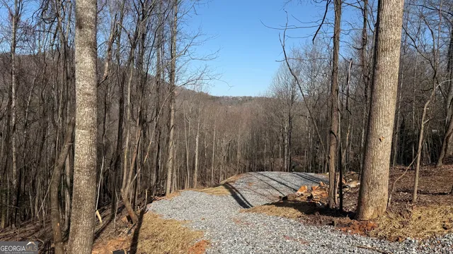 $99,000 | Lot 17 Chalet Drive, Sautee Nacoochee, GA 30571