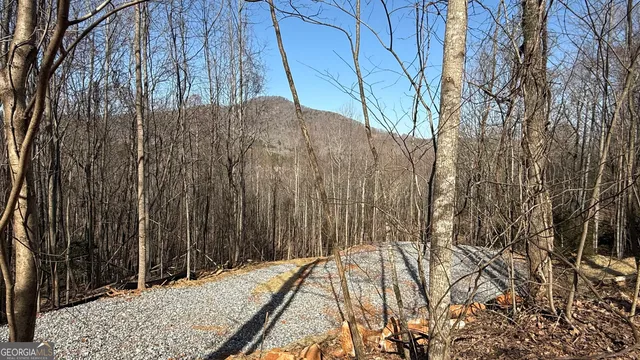 $99,000 | Lot 17 Chalet Drive, Sautee Nacoochee, GA 30571