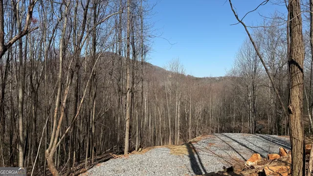 $99,000 | Lot 17 Chalet Drive, Sautee Nacoochee, GA 30571