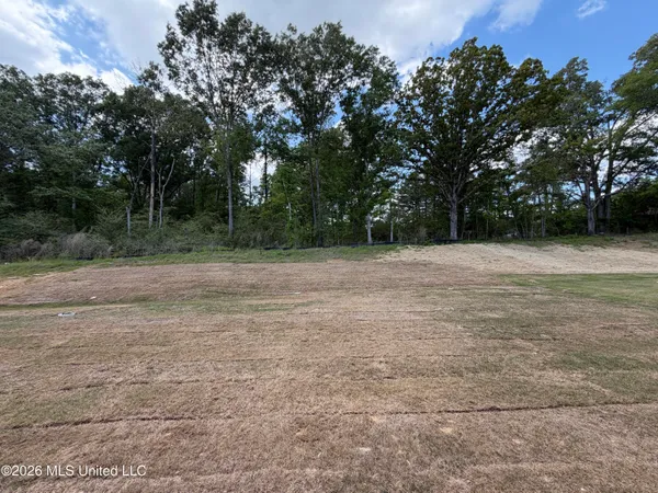 $318,900 | 214 Anderson Oaks Drive, Pearl, MS 39208