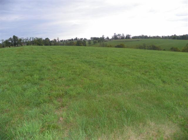 232 Dusty Road Sharpsburg, KY 40374 - Photo 14 of 43 Photo 14