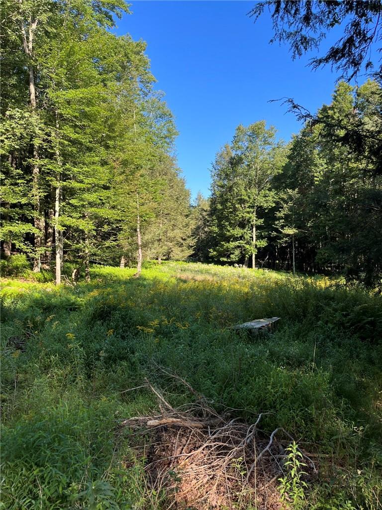 Open building area off Best Rd