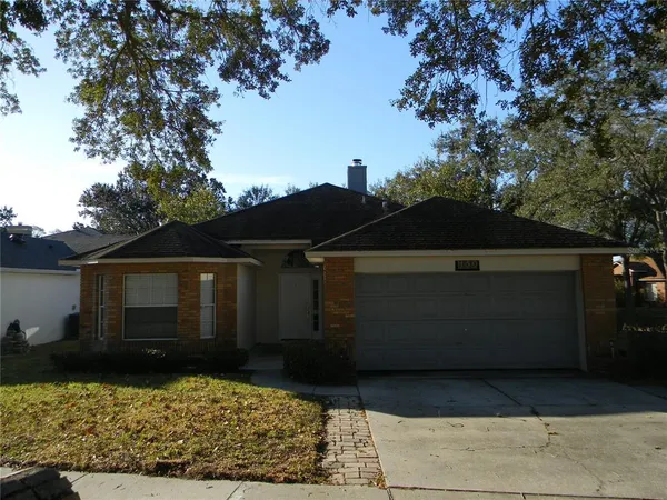 a view of backyard with large tree