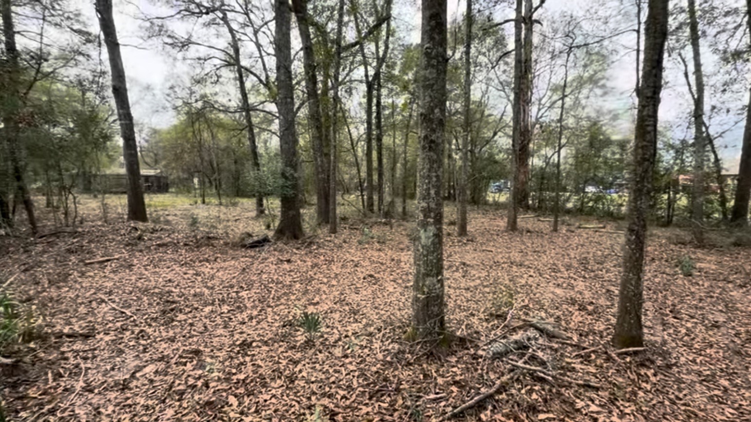 24820 Marks Road Splendora, TX 77372 - Photo 2 of 9