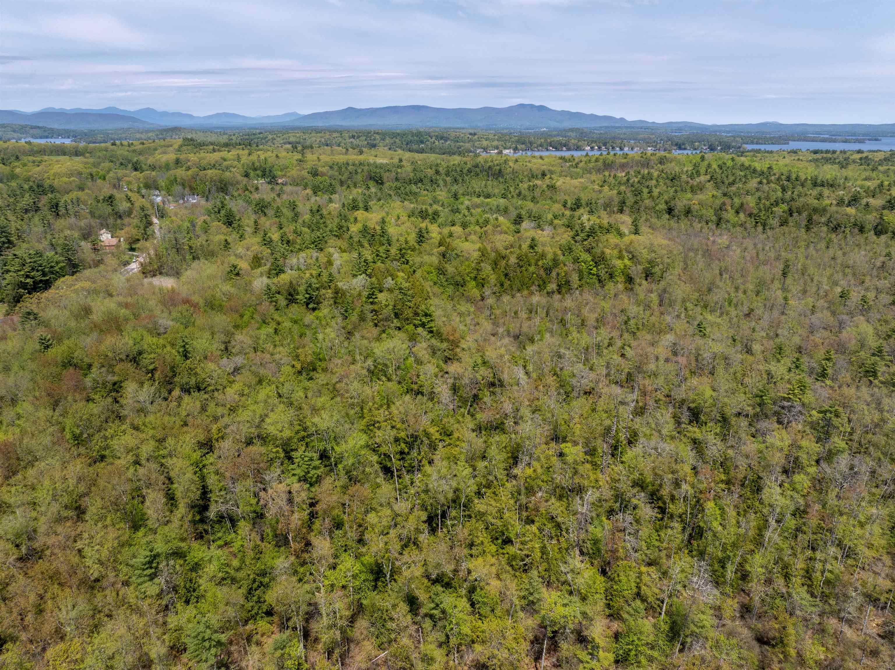 547 White Oaks Road Laconia, NH 03246 - Photo 13 of 25