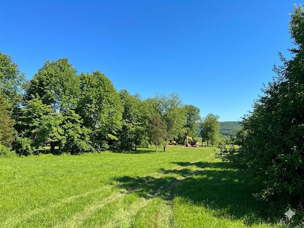 Lot 9 Long View Union, WV 24983 - Photo 4 of 13 Gallery Image 4