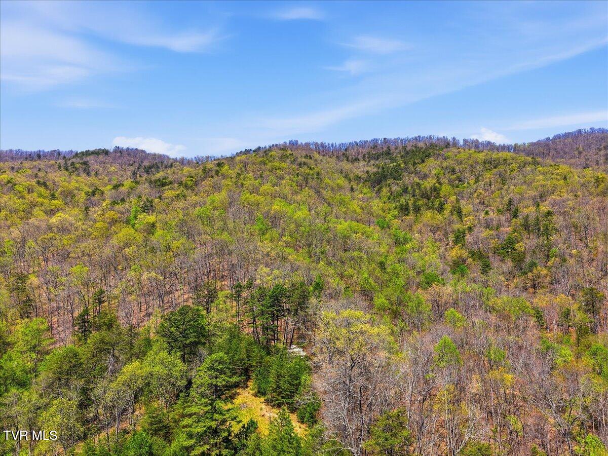 155 Barker Road Rogersville, TN 37857 - Photo 30 of 50 30-155_Barker_Rd_014