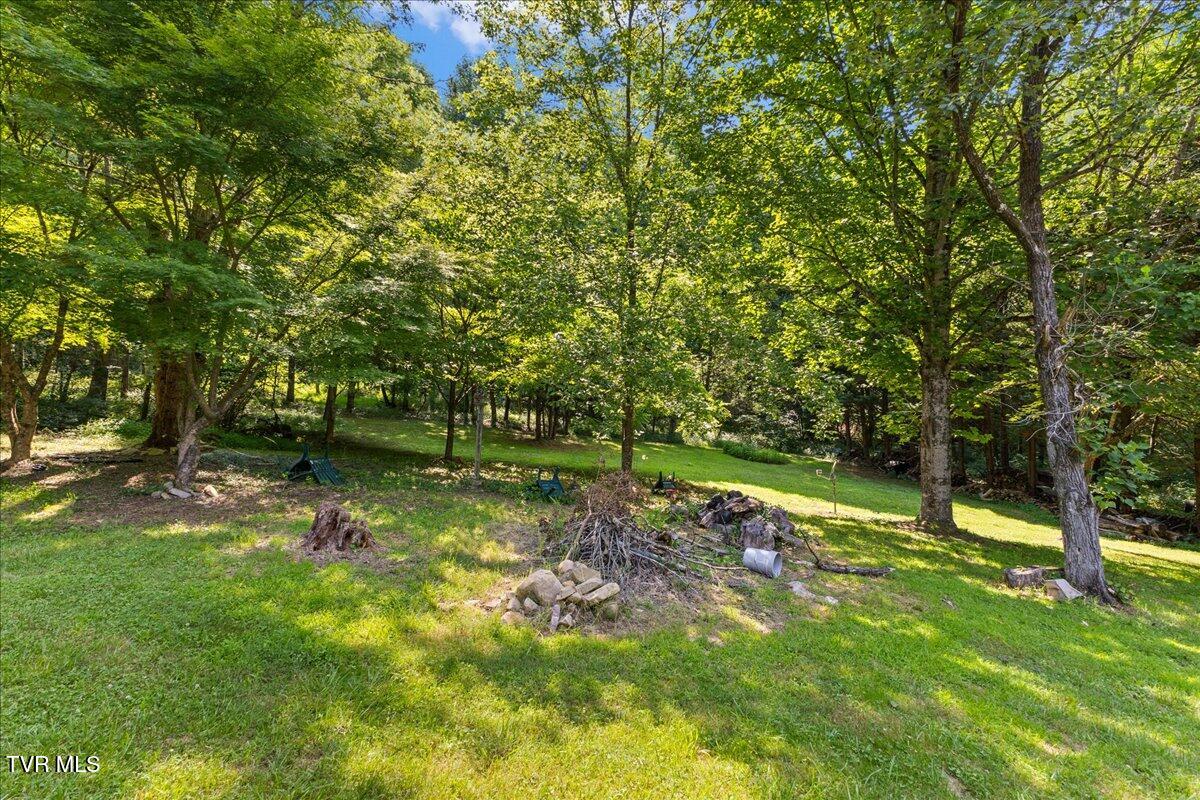 591 Whaley Town Road Butler, TN 37640 - Photo 11 of 40 08-128A0042