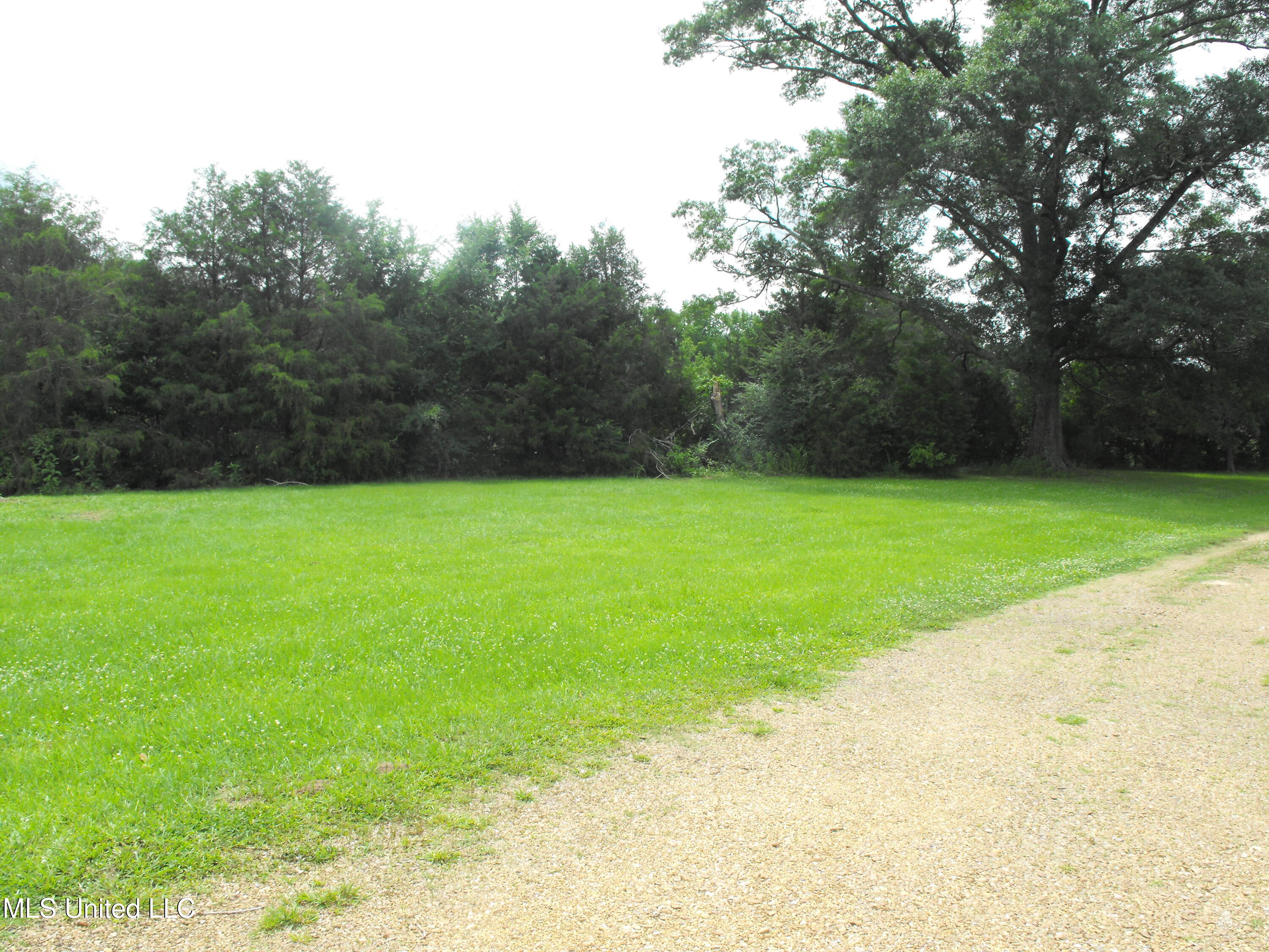 120 Joe Dear Road Florence, MS 39073 - Photo 5 of 12 DSCF7257
