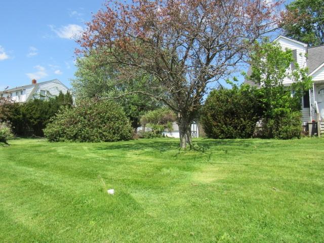 1052 North Eighty Eight Road Rices Landing, PA 15357 - Photo 6 of 24 a view of a trees in a yard