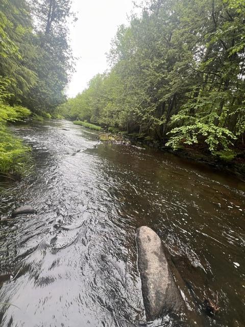 Lot 3 Off New Limerick Road Houlton, ME 04730 - Photo 20 of 30 IMG_1031