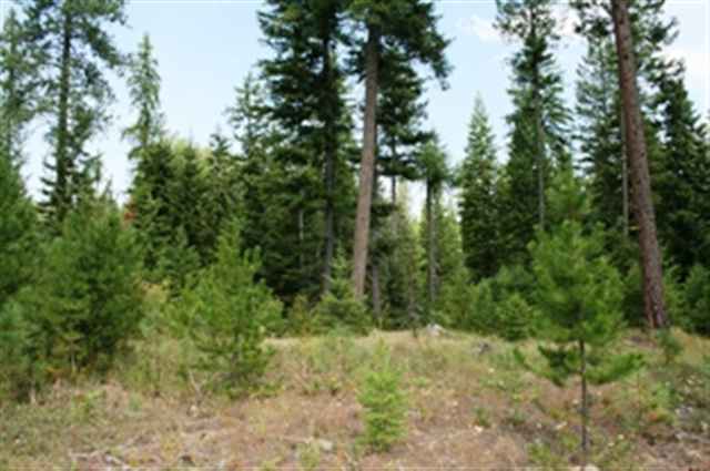 Xxx Williamson Road Clayton, WA 99110 - Photo 1 of 6