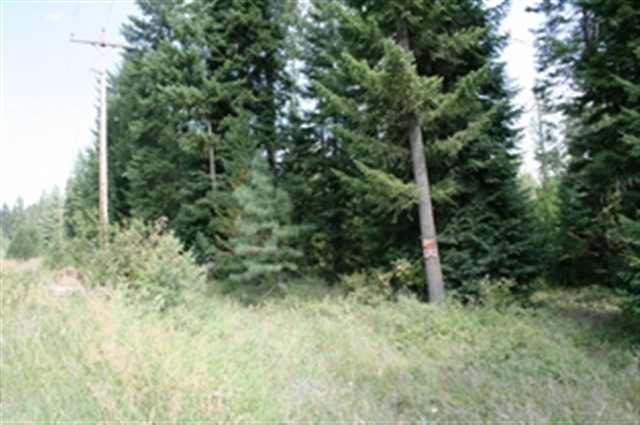 Xxx Williamson Road Clayton, WA 99110 - Photo 2 of 6