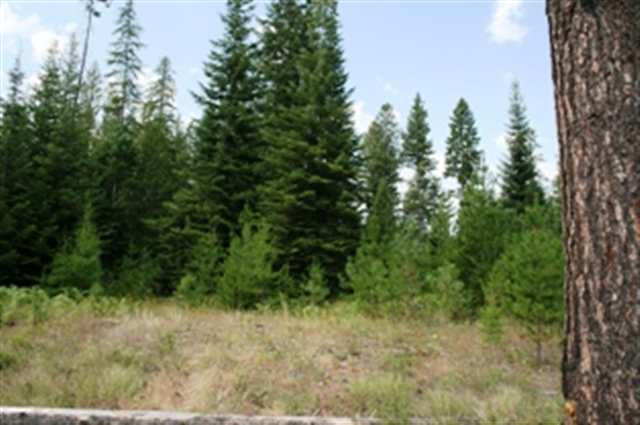 Xxx Williamson Road Clayton, WA 99110 - Photo 4 of 6