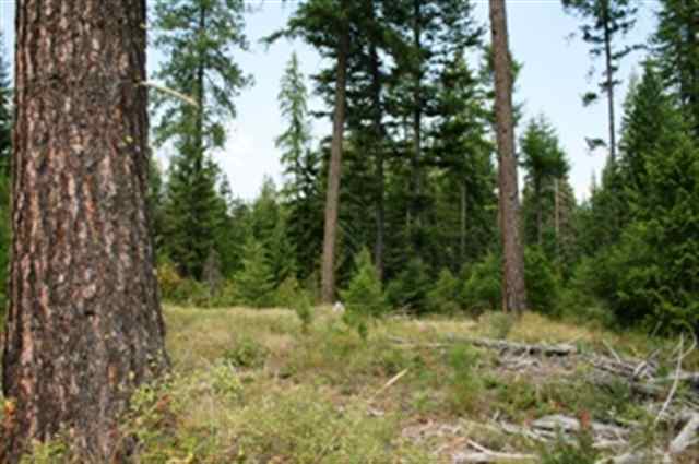 Xxx Williamson Road Clayton, WA 99110 - Photo 5 of 6