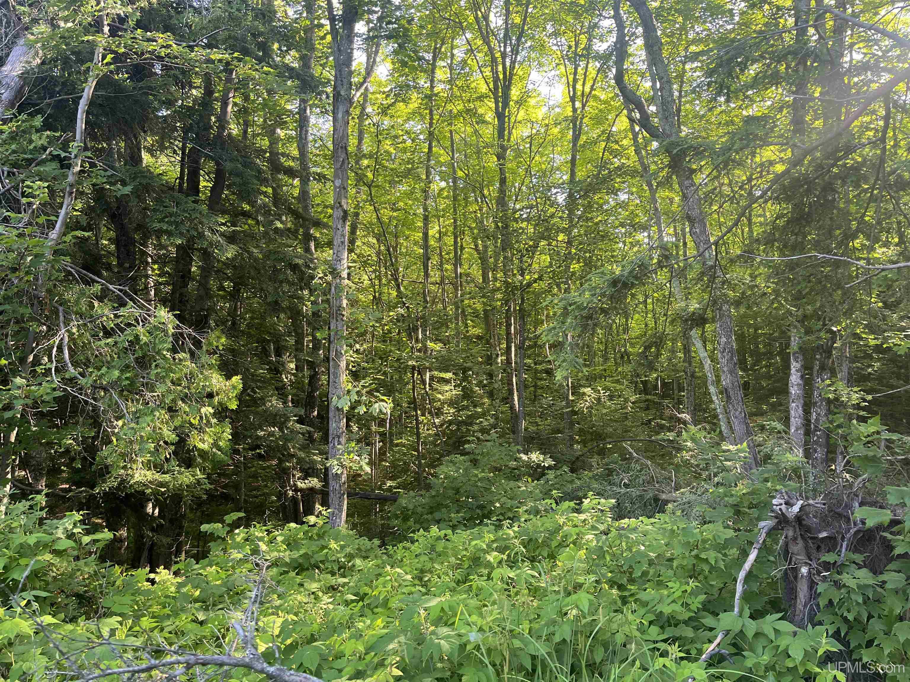 510 Rd Ishpeming Mi 49849 Road Negaunee, MI 49866 - Photo 13 of 33