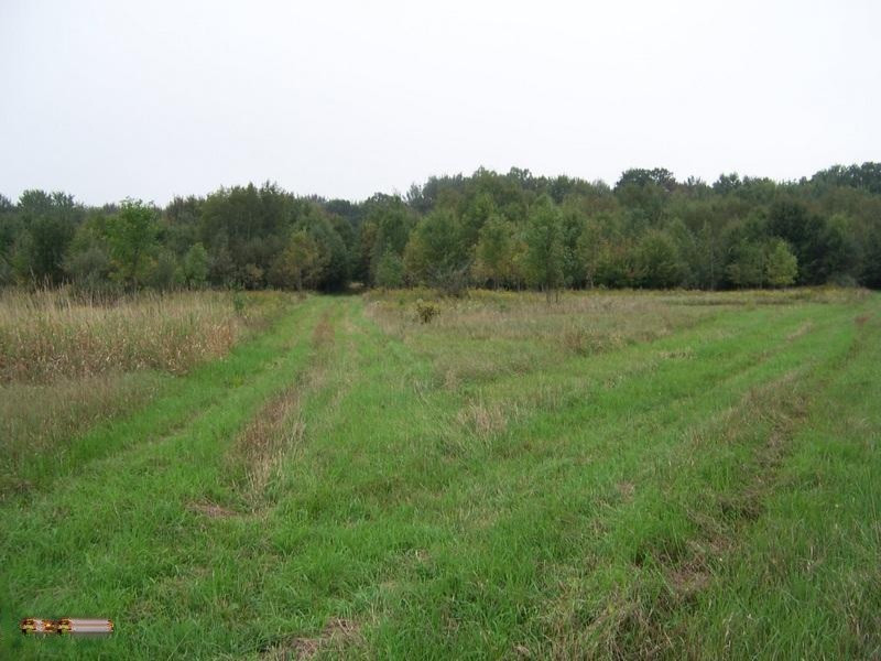 3612 East Millbrook Road Mount Pleasant, MI 48858 - Photo 4 of 7 100_4246