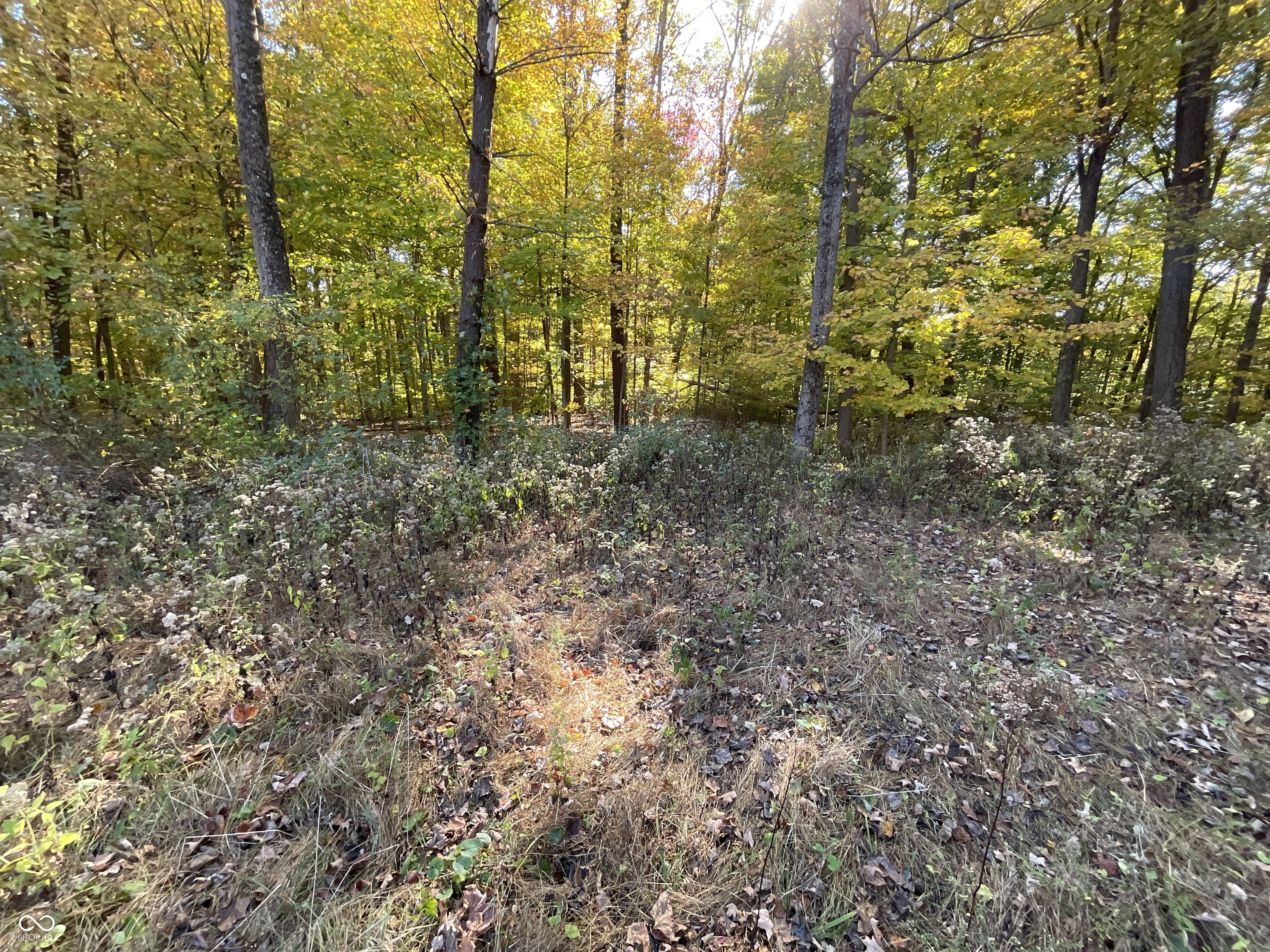 10135 Lackey Road Poland, IN 47868 - Photo 22 of 24 Gallery Image 22