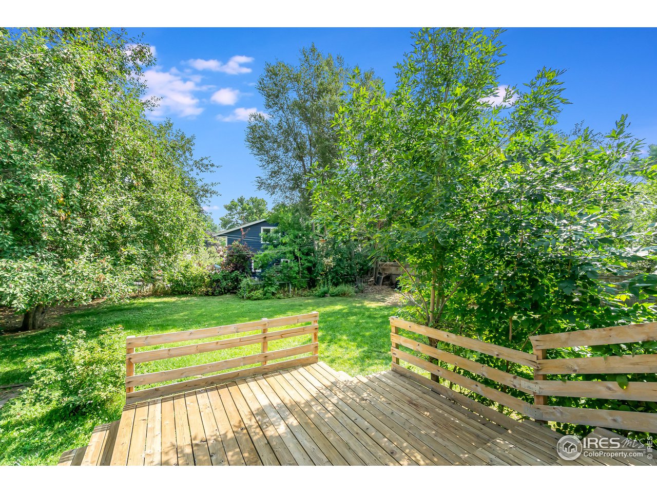 2416 Stanford Road Fort Collins, CO 80525 - Photo 32 of 36 Large trees for shade and privacy