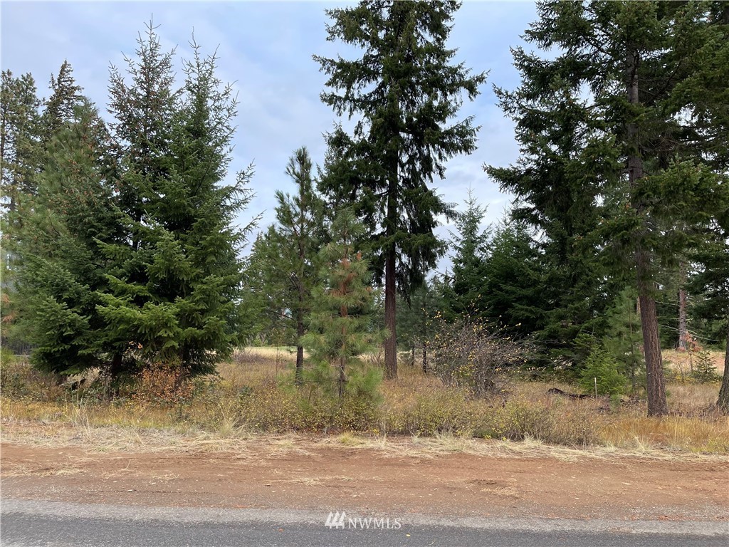 1030 Spragger Way Cle Elum, WA 98922 - Photo 3 of 14 Gallery Image 3