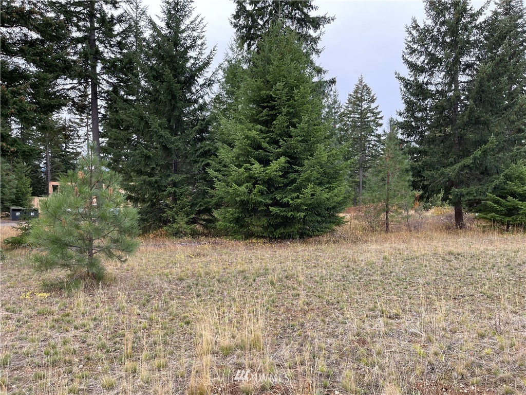 1030 Spragger Way Cle Elum, WA 98922 - Photo 4 of 14 Gallery Image 4