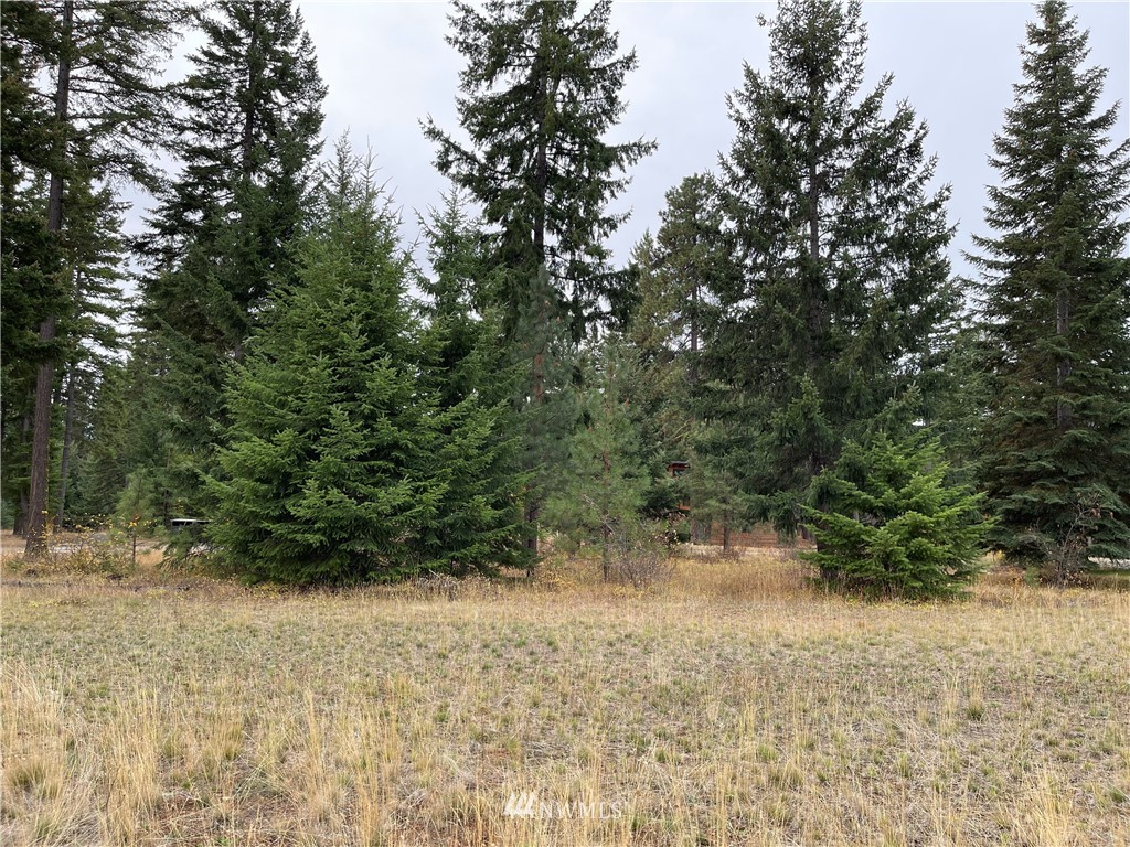 1030 Spragger Way Cle Elum, WA 98922 - Photo 6 of 14 Gallery Image 6