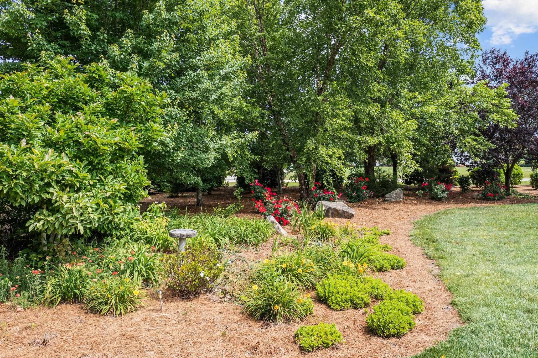 5805 Clovis Ridge Drive Wake Forest, NC 27587 - Photo 41 of 64 Photo 41