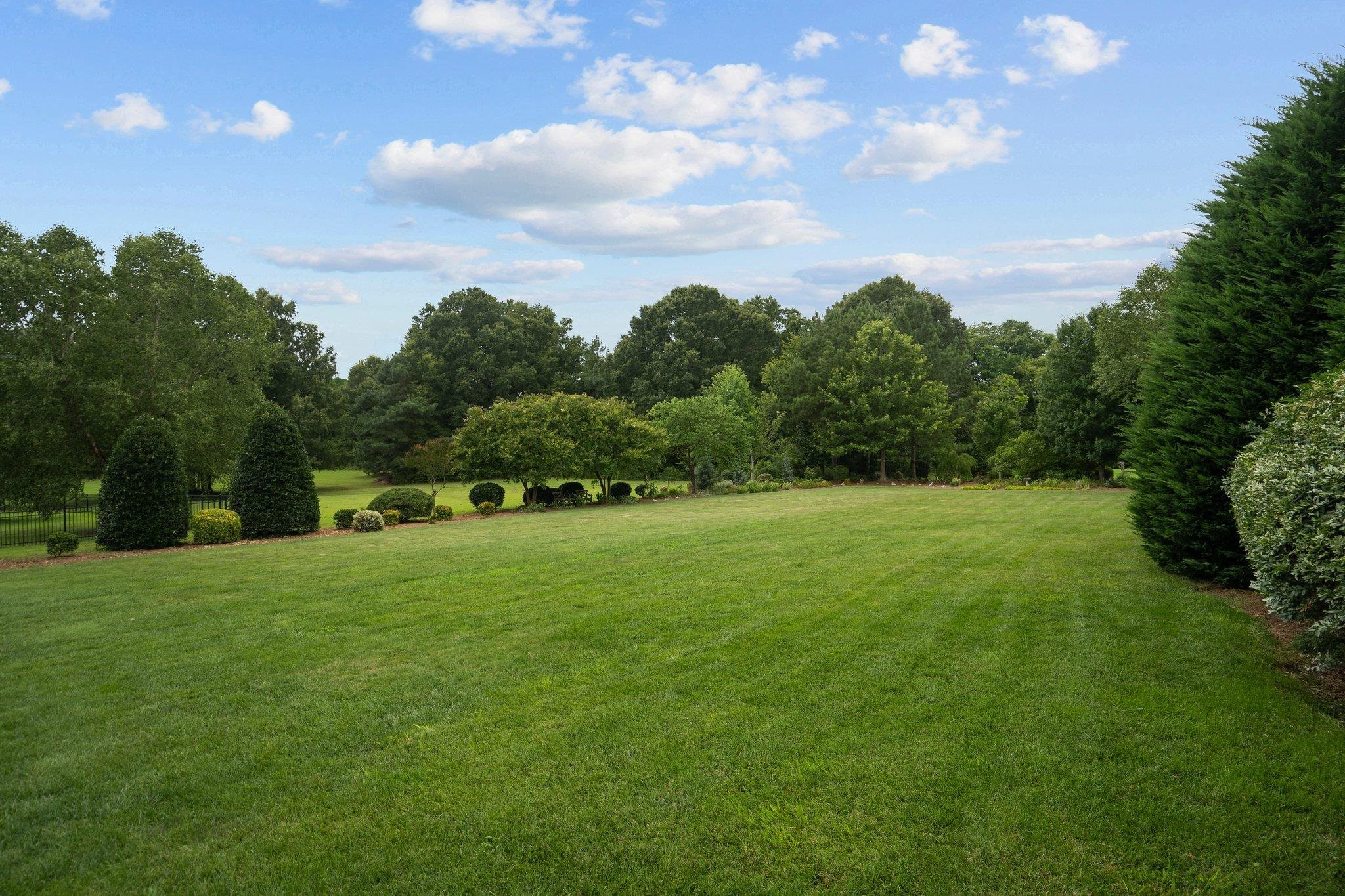 5805 Clovis Ridge Drive Wake Forest, NC 27587 - Photo 46 of 64 a yard with trees in the background