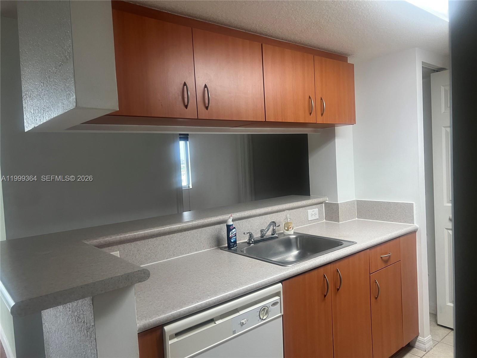 816 Northwest 11th Street, Unit 1002 Miami, FL 33136 - Photo 5 of 19 a view of a sink and dishwasher with cabinets