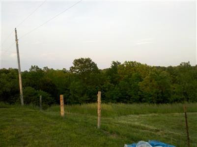 10835 New Columbus Road Owenton, KY 40359 - Photo 8 of 16 Gallery Image 8