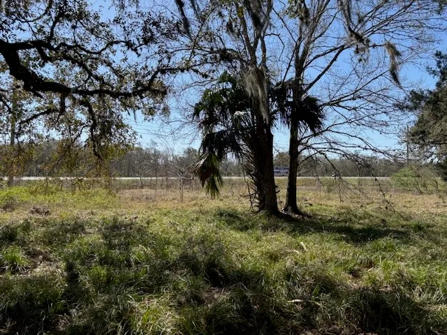 $119,000 | 18772 Highway 35, Sweeny, TX 77480
