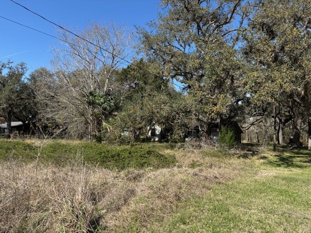 18772 Highway 35 Sweeny, TX 77480 - Photo 22 of 22