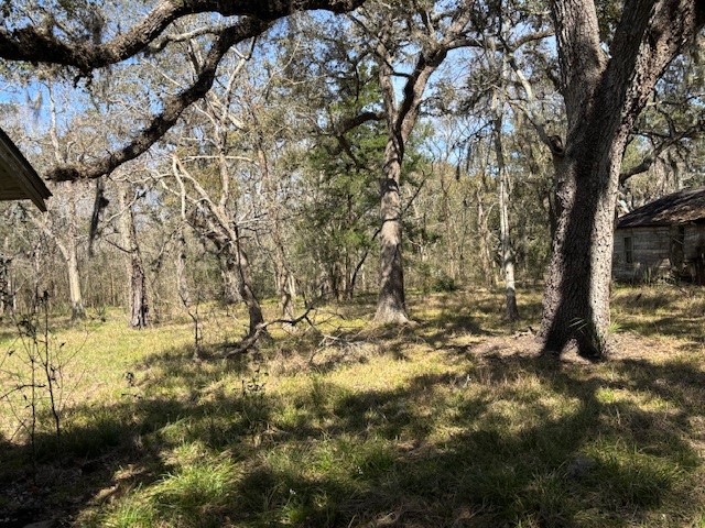 18772 Highway 35 Sweeny, TX 77480 - Photo 9 of 22