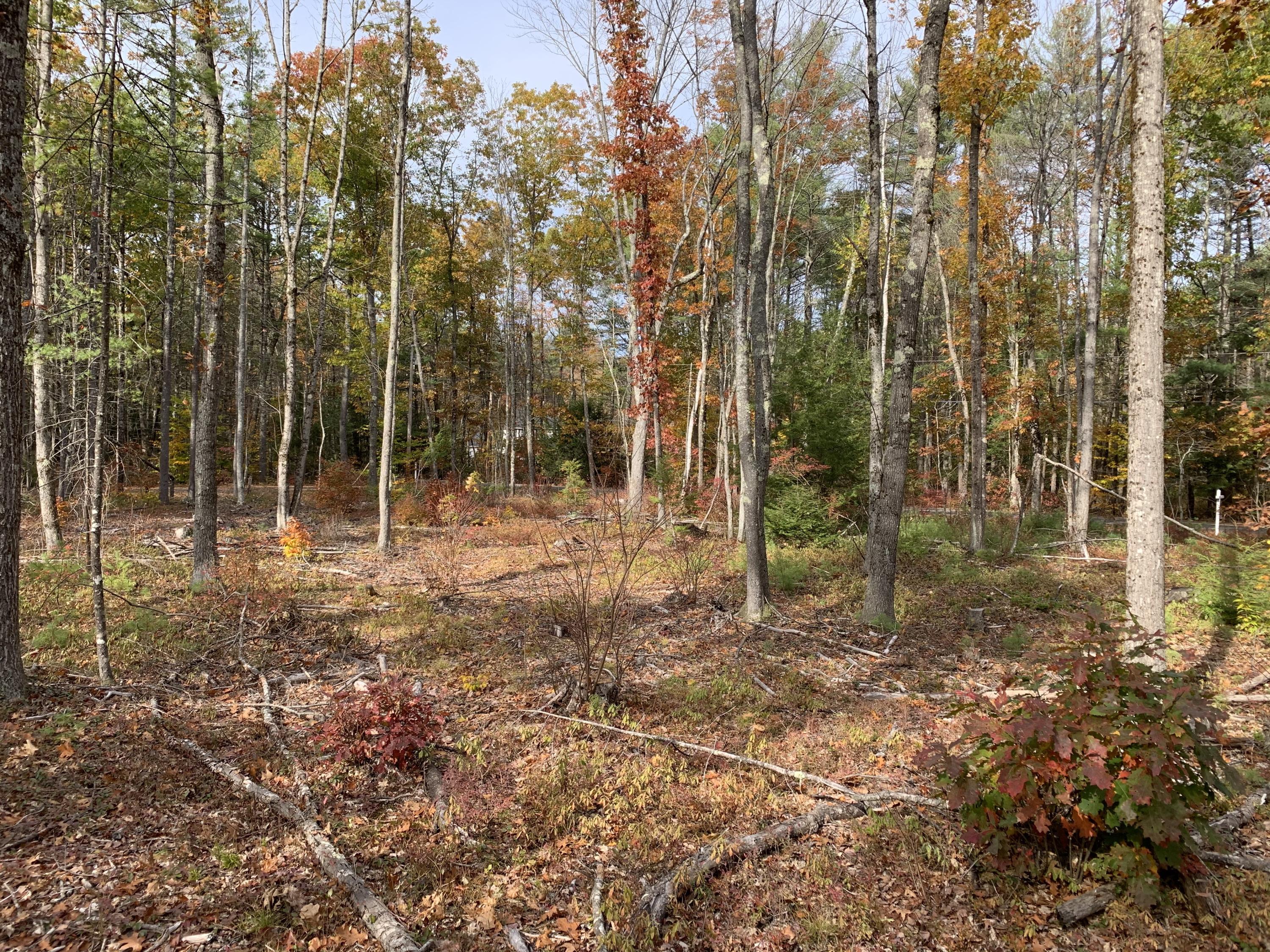 0 Wire Road Wells, ME 04090 - Photo 3 of 19 IMG_2475